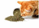Dot & Jerry's Knotty Nip organic catnip 

Human-grade organic catnip for cats and playtime

Canadian organic catnip treat for bonding and play