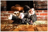 Dot & Jerry's Knotty Nip organic catnip 

Human-grade organic catnip for cats and playtime

Canadian organic catnip treat for bonding and play