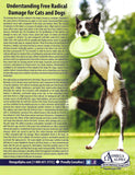 Understanding Free Radical Damage for Cats and Dogs