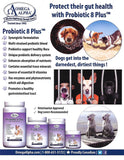 Omega Alpha Probiotic 8 Plus probiotic blend for healthy digestion and bowel movements.